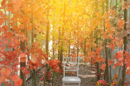 Holiday Party Colorful Autumn Background On Nature Backgroundの写真素材
