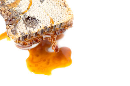fresh honeycomb on white background with copy spaceの写真素材