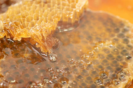 fresh honeycomb on white background with copy spaceの写真素材
