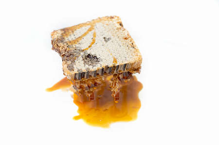 fresh honeycomb on white background with copy space