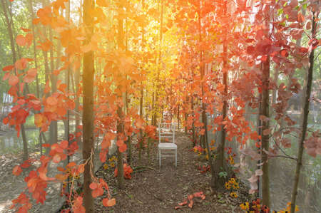 Holiday Party Colorful Autumn Background On Nature Backgroundの写真素材