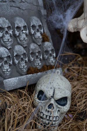 Human skull on grass on grunge Halloween background.の写真素材