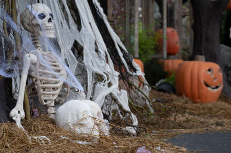 human skeleton with halloween pumpkin on the groundの写真素材