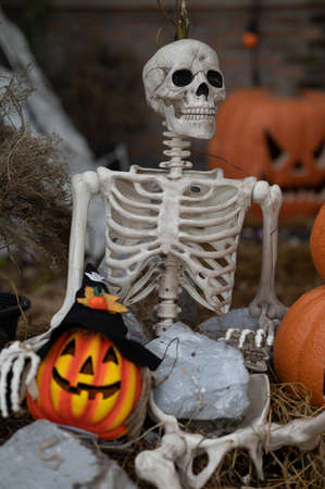 Halloween with pumpkin and skeleton concept on background.の写真素材