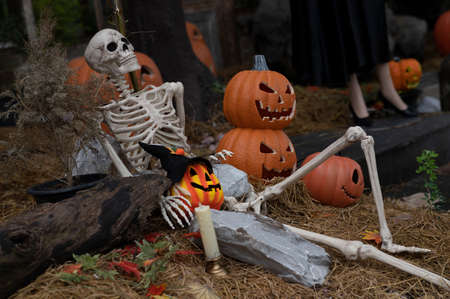 Ceramic skull with pumpkin concept on copy space.