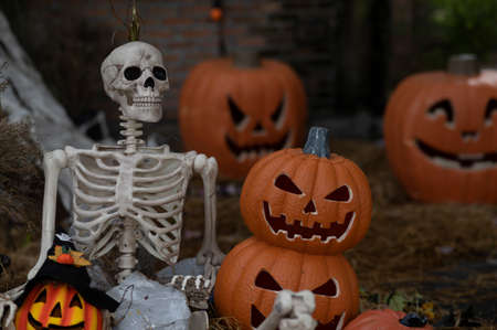 Halloween with pumpkin and skeleton concept on background.の写真素材
