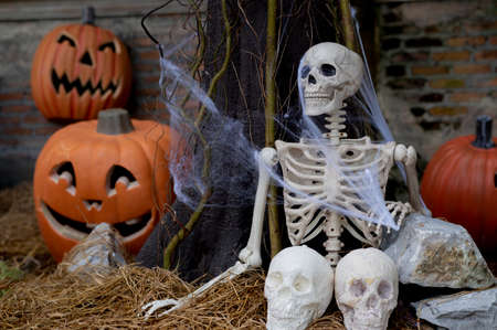 Halloween with pumpkin and skeleton concept on background.の写真素材