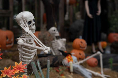 Halloween with pumpkin and skeleton concept on background.の写真素材