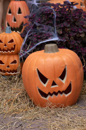 Halloween concept pumpkin on holiday backgroundの写真素材