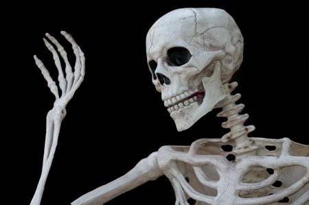 Halloween human skeleton with copy space on black backgroundの写真素材