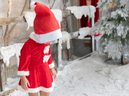 Santa Plush Toy Santa Traditional Winter Holiday Celebrationの写真素材