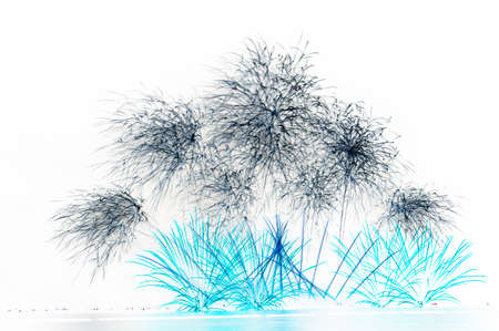 Beautiful abstract fireworks on white background with copy space.の写真素材