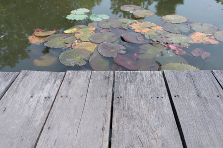 wooden table on blurry lotus pond backgroundの写真素材