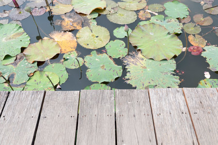 wooden table on blurry lotus pond backgroundの写真素材