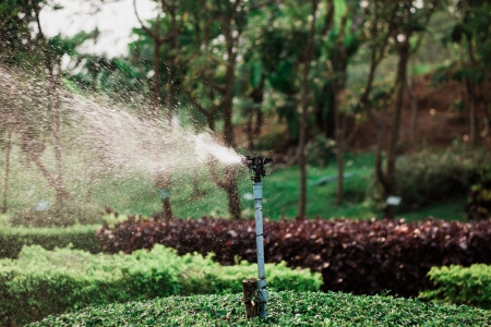 Sprinkler water in the garden