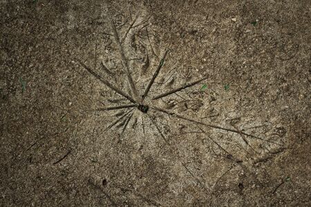 Pattern on the floor in the garden 