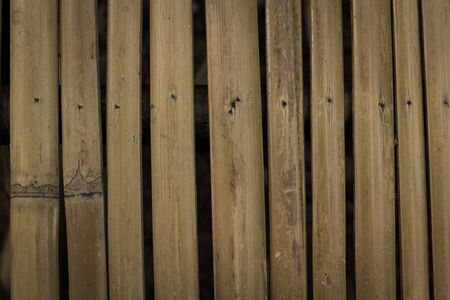 Bamboo Thai Bamboo in the gardenの写真素材