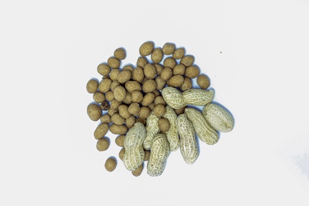 Peanuts on the white backgroundの写真素材