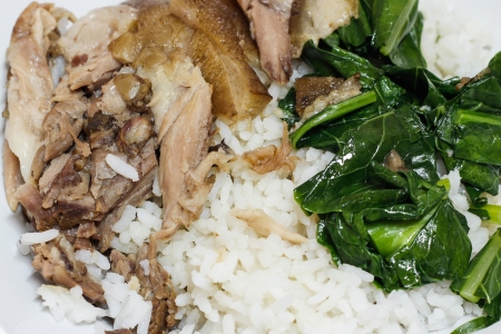 Pork leg with riceの写真素材