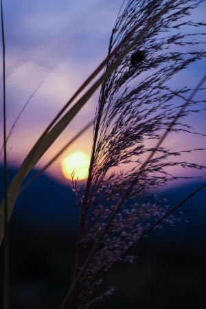 Beautiful landscape sunset in Thailand の写真素材
