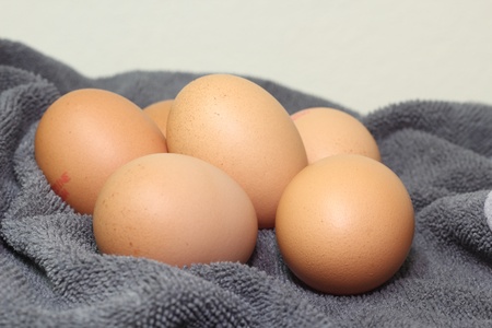 Organic eggs の写真素材