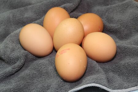 Organic eggs の写真素材