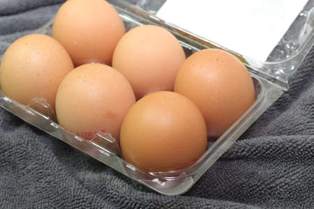 Organic eggs の写真素材