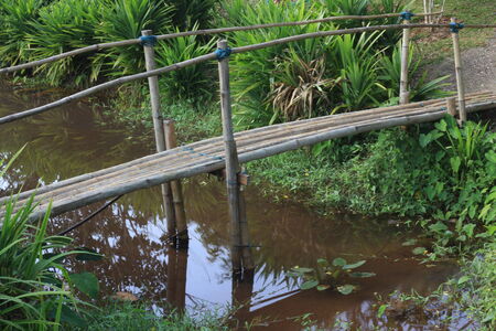 bamboo bridgeの写真素材