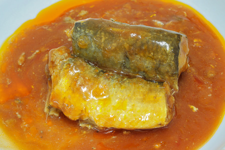 Canned fish in tomato sauceの写真素材