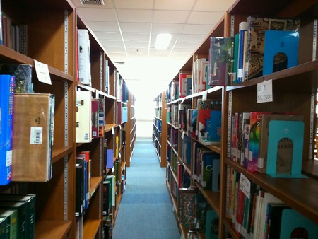 Shelf book in Libraryの素材