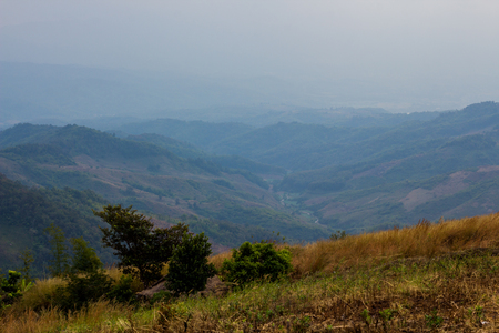 Doi Chang in Chiang Rai ,Thailandの写真素材