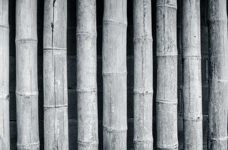 bamboo fence backgroundの写真素材