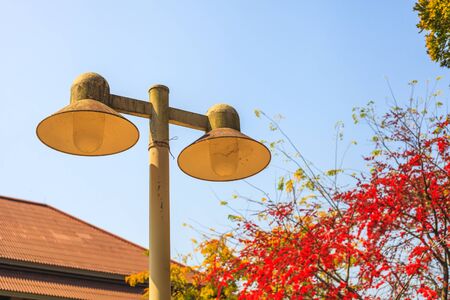 a lamp post on a background of blue sky and treeの写真素材