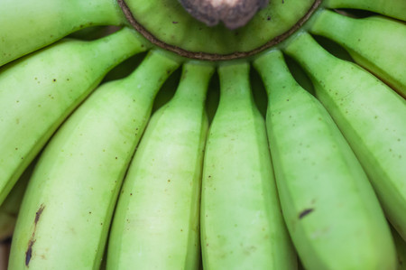 banana closeupの写真素材