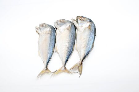 Steamed mackerel isolated on white backgroundの写真素材