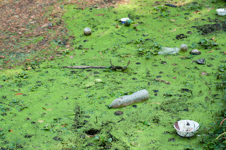 A large amount of trash polluting our watersの写真素材