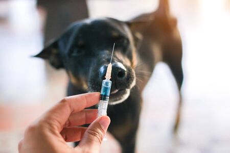 Medical hand holding needle syringe hypodermic drug vaccine rabies bottle and injection,immunization...