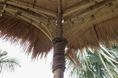 Dried palm tree leaves used as a tropical house roof system.の写真素材