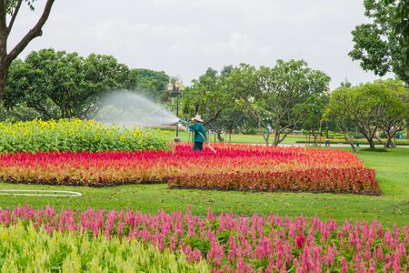 flower gardenの写真素材