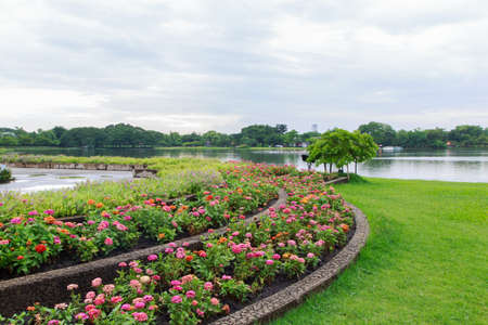 Spring Flower Garden for background.の写真素材