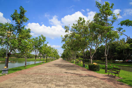 Garden stone path with grass and trees in park.