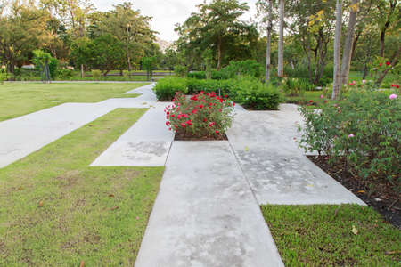 Garden stone path with grass and trees in park.の写真素材