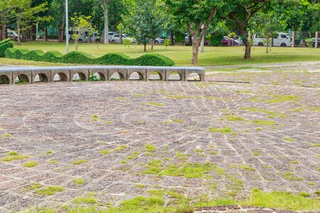 texture of brick paving walkwayの写真素材