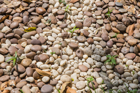 Pebble rock and stone for background.の写真素材