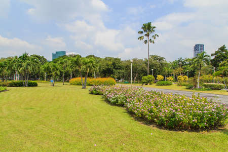 Chatuchak park in bangkok Thailand is a very popular place for chill-out or exercise.の写真素材