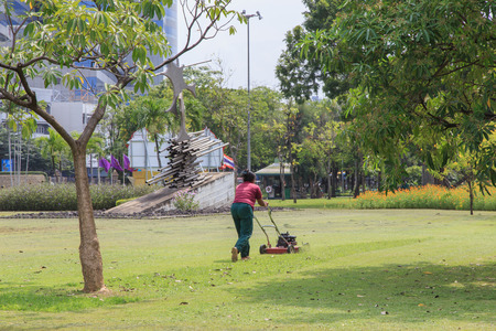 Woman gardener working with lawn mower