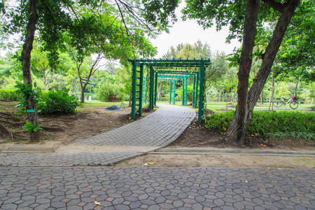 walkway view, Botanical garden, Queen Sirikit Park, Bangkok