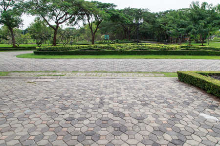 walkway view, Botanical garden, Queen Sirikit Park, Bangkokの写真素材