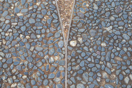 Stone pathway in the garden.