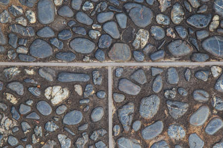 Stone pathway in the garden.の写真素材